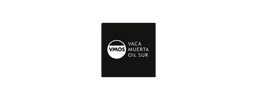 Vaca Muerta Oil Sur